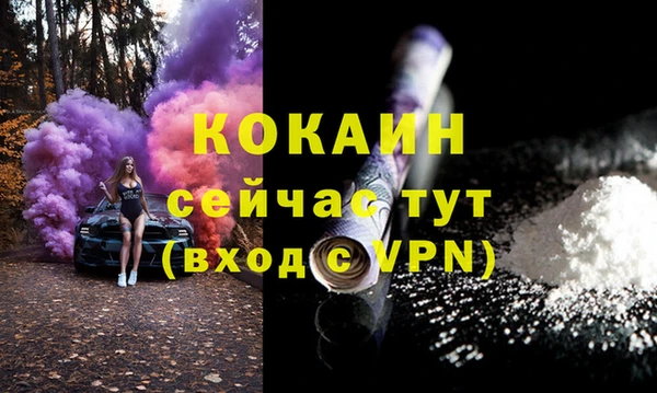 стаф Абинск