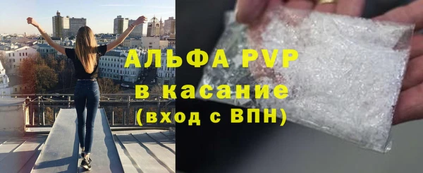 стаф Абинск