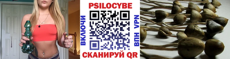 Псилоцибиновые грибы Psilocybine cubensis Туран